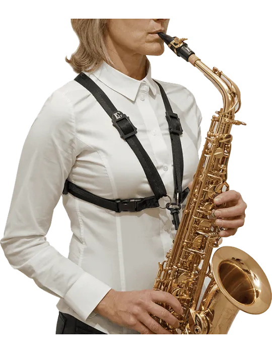 BG S41SH | MusicGoodDeal