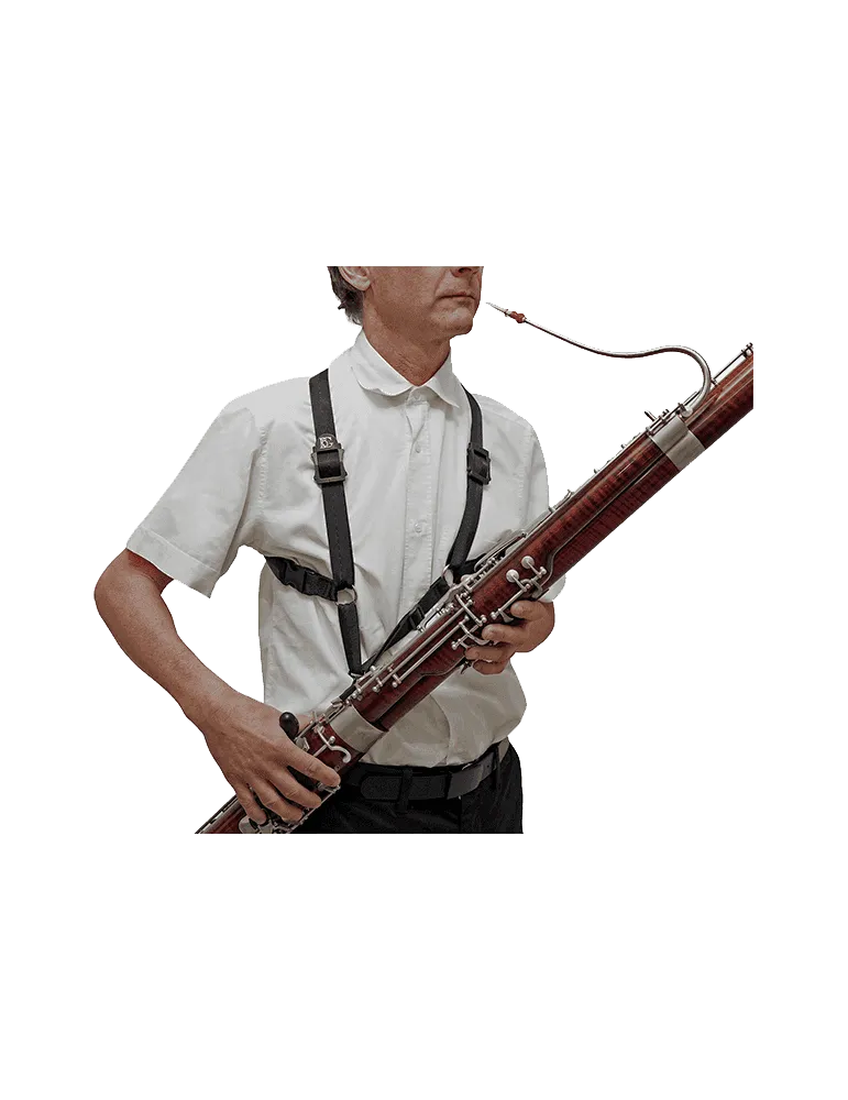 BG B10 | MusicGoodDeal