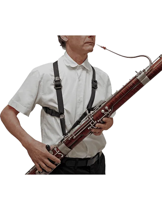 BG B10 | MusicGoodDeal