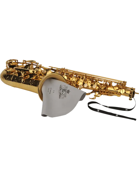 BG A30 | MusicGoodDeal