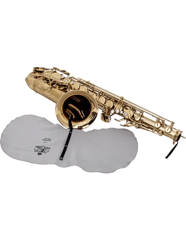 BG A30L | MusicGoodDeal 2