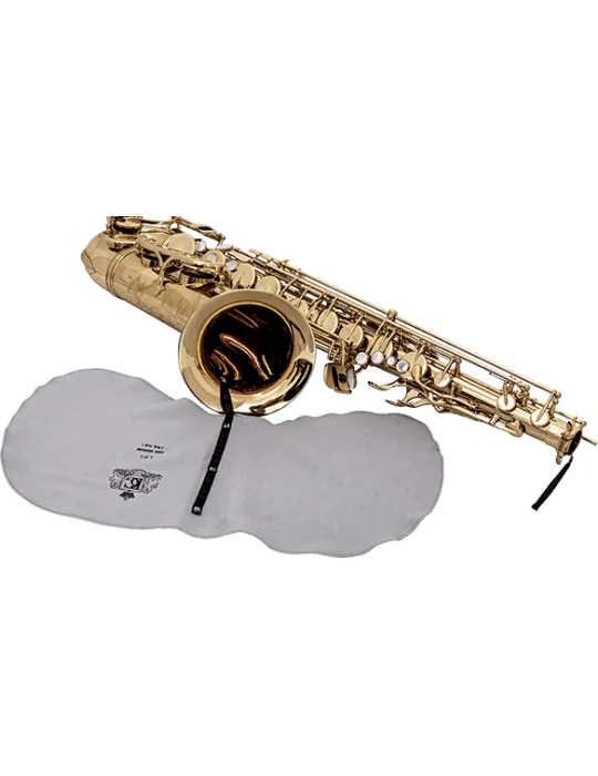 BG A30L | MusicGoodDeal