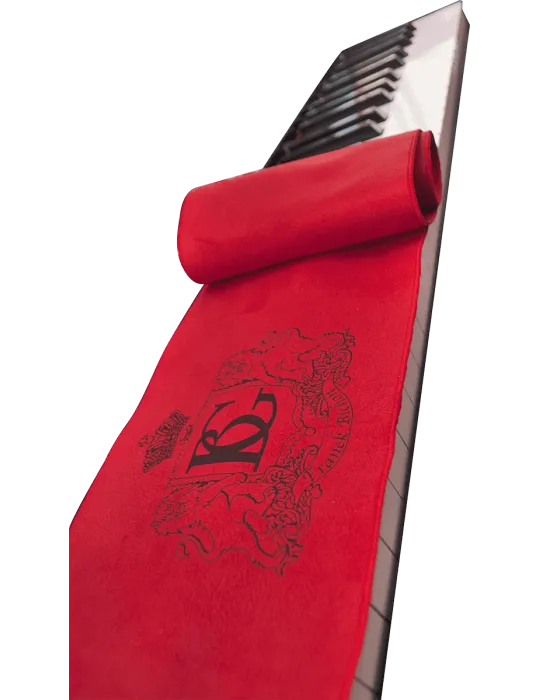 BG A66K9 | MusicGoodDeal