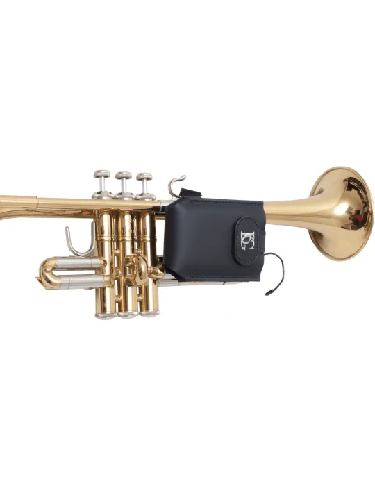 BG PWT | MusicGoodDeal