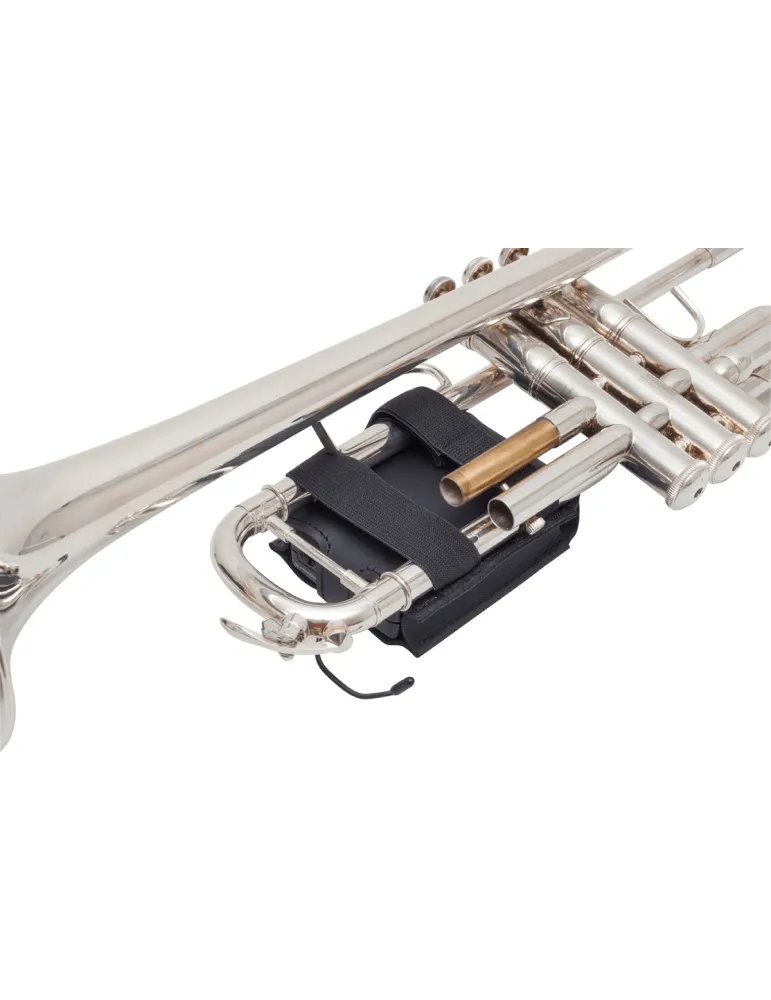 BG PWT | MusicGoodDeal