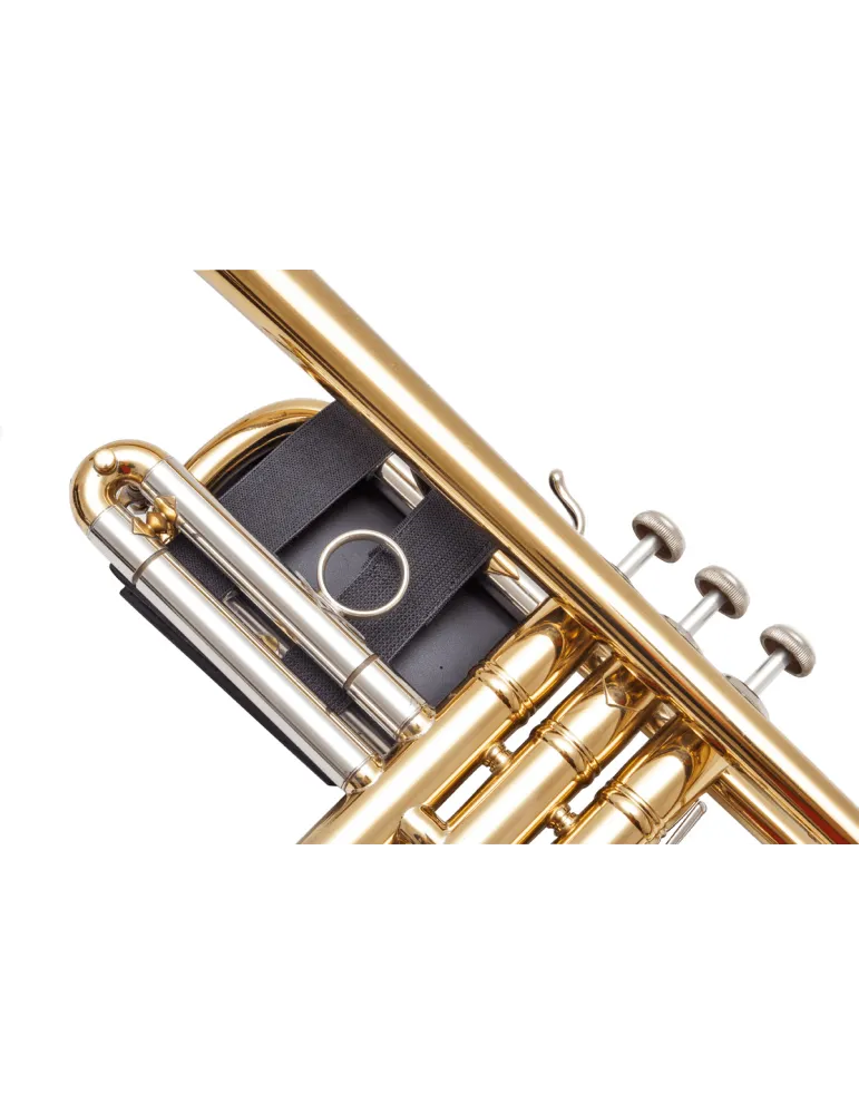 BG PWT | MusicGoodDeal