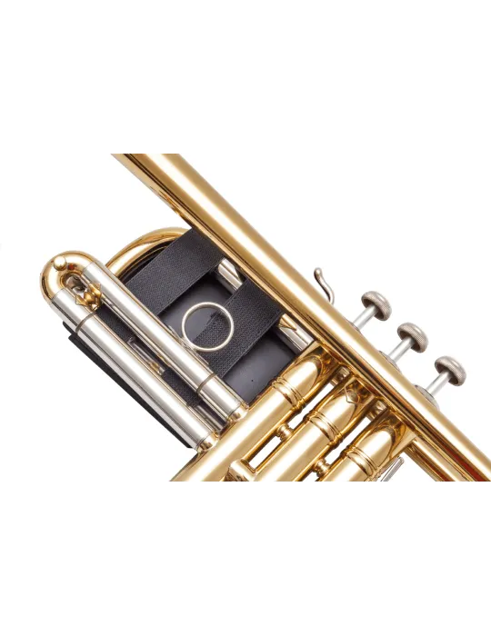 BG PWT | MusicGoodDeal