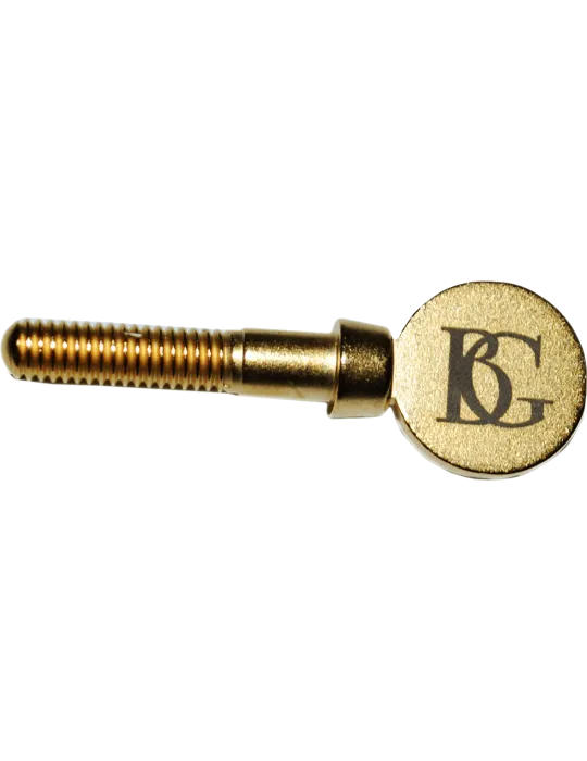 BG ASGP | MusicGoodDeal