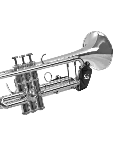 BG AV65 | MusicGoodDeal