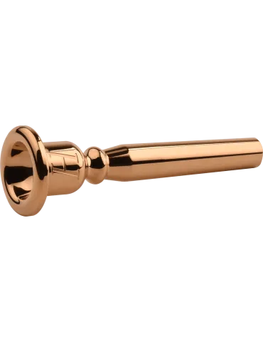 DENIS WICK 3182G-15C | MusicGoodDeal