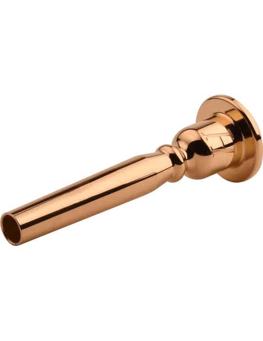 DENIS WICK 3182G-15C | MusicGoodDeal