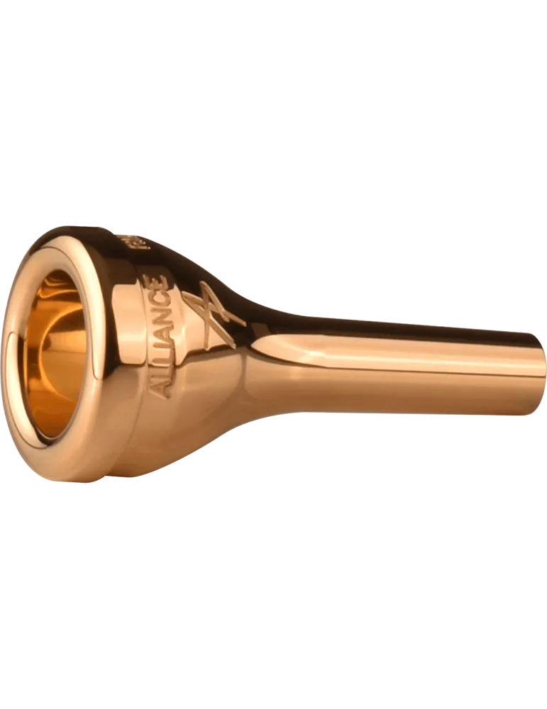 DENIS WICK WFM-RM3AG | MusicGoodDeal