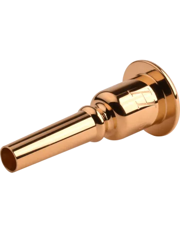 DENIS WICK 3183G-2 | MusicGoodDeal 2