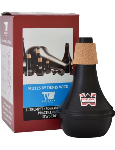 DENIS WICK 5534 | MusicGoodDeal 2