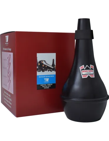 DENIS WICK 5536 | MusicGoodDeal 2