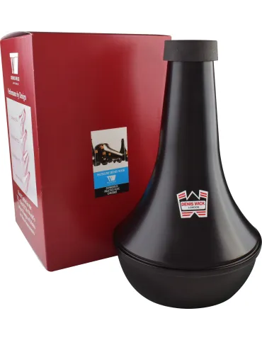 DENIS WICK 5512 | MusicGoodDeal 2