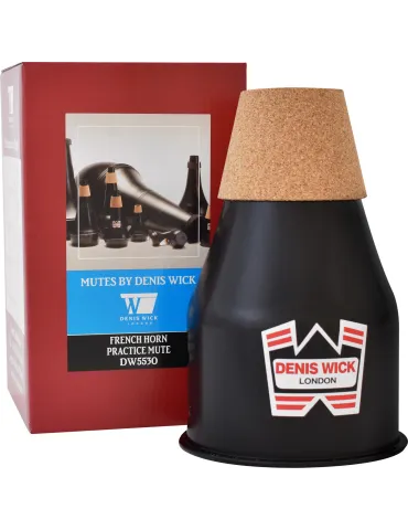 DENIS WICK 5530 | MusicGoodDeal 2