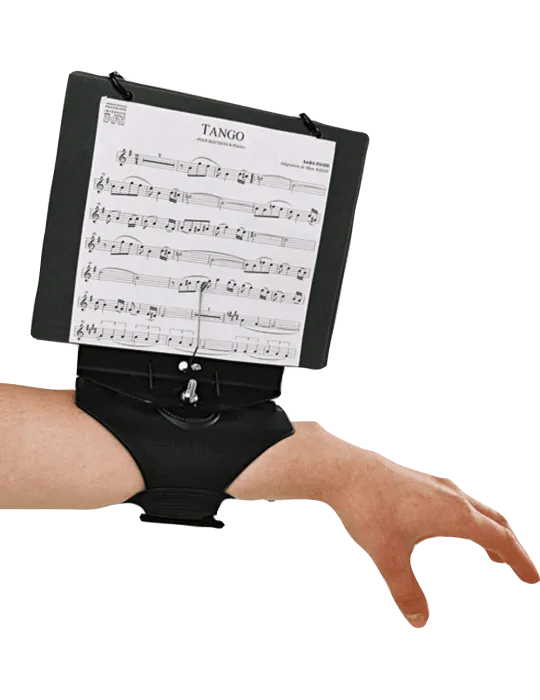 SML PARIS HC225 | MusicGoodDeal