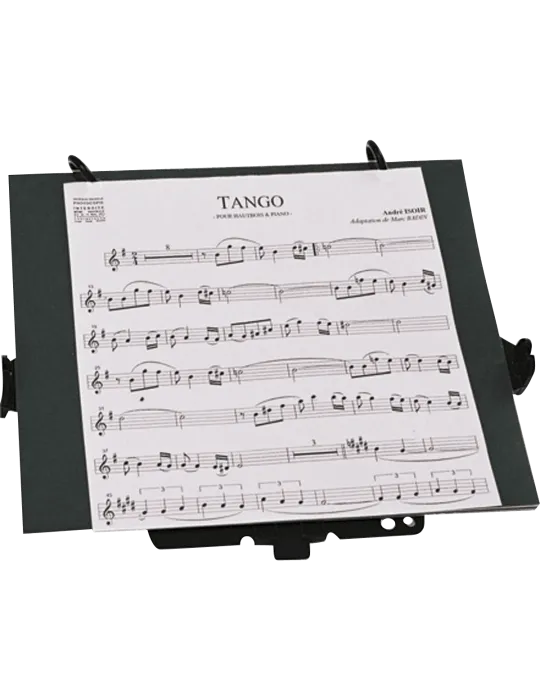 SML PARIS HC200 | MusicGoodDeal