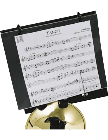 SML PARIS HC260 | MusicGoodDeal