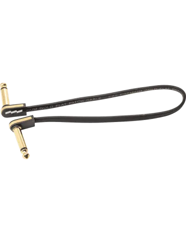 EBS PCF-PG28 | MusicGoodDeal