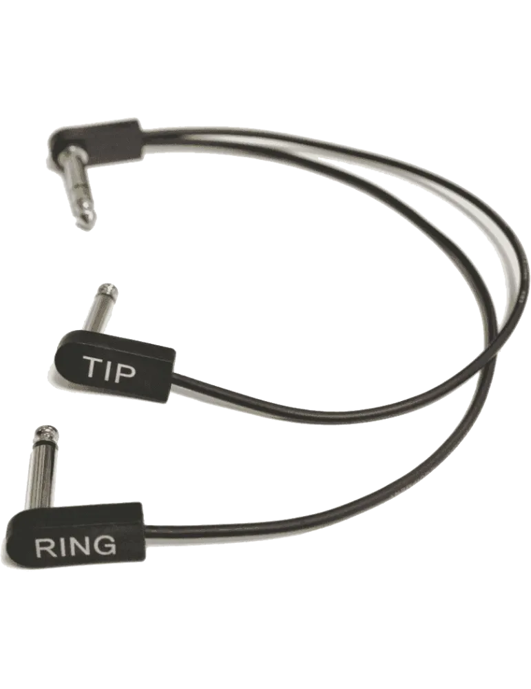 EBS ICY-30 | MusicGoodDeal