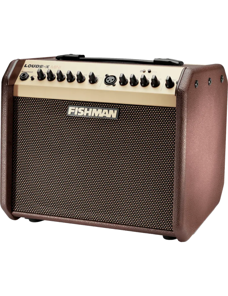 FISHMAN PRO-LBT-500 | MusicGoodDeal