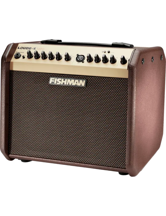 FISHMAN PRO-LBT-500 | MusicGoodDeal