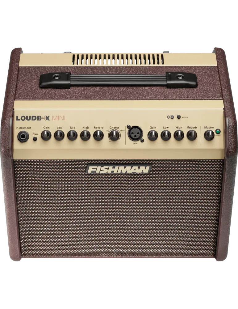 FISHMAN PRO-LBT-500 | MusicGoodDeal