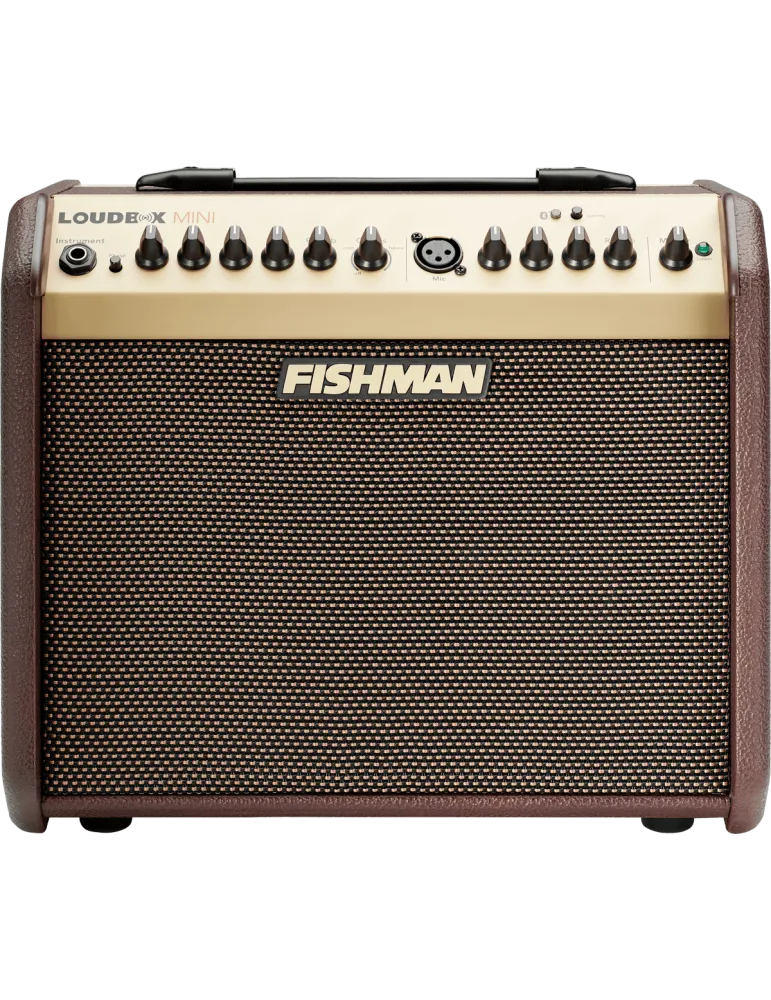 FISHMAN PRO-LBT-500 | MusicGoodDeal