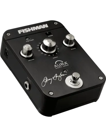 FISHMAN PRO-AIP-JD1 | MusicGoodDeal