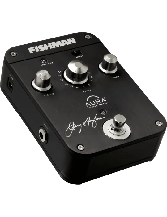 FISHMAN PRO-AIP-JD1 | MusicGoodDeal