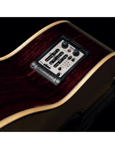 FISHMAN PRO-MAT-P81 | MusicGoodDeal 2