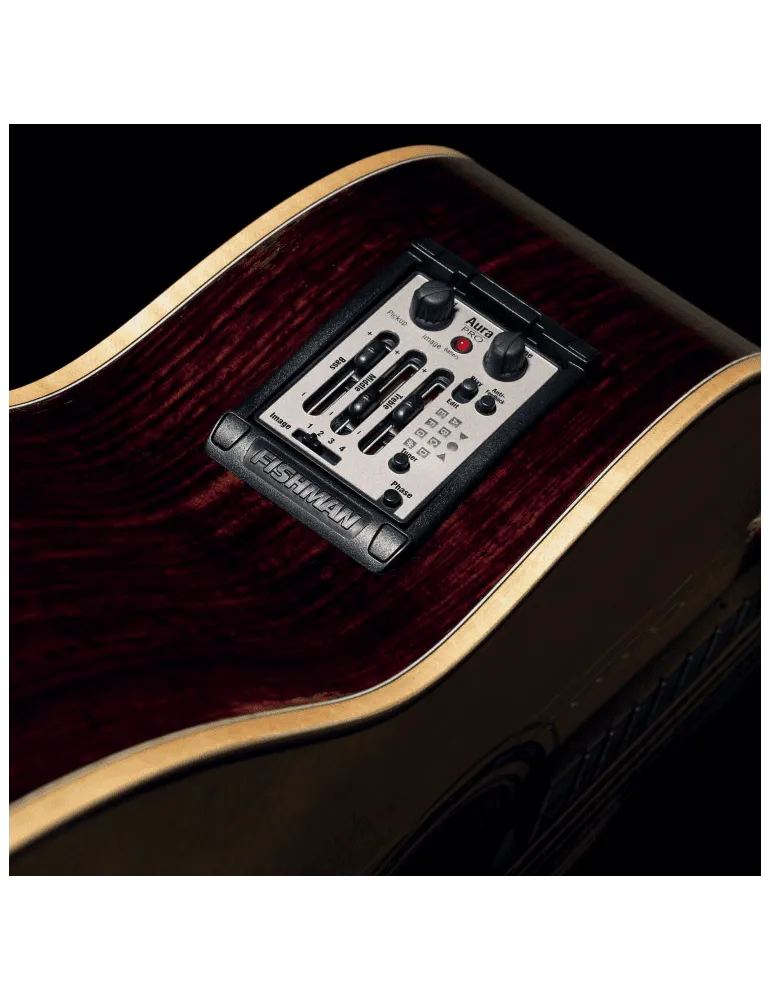 FISHMAN PRO-MAT-P81 | MusicGoodDeal