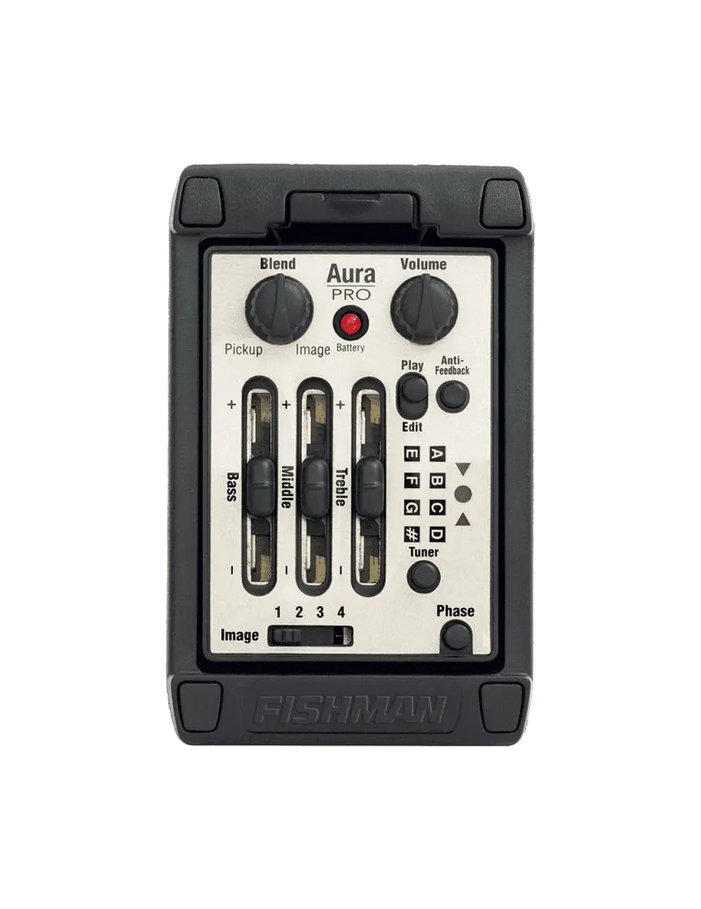 FISHMAN PRO-MAN-P81 | MusicGoodDeal