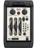 FISHMAN PRO-MAN-P81 | MusicGoodDeal
