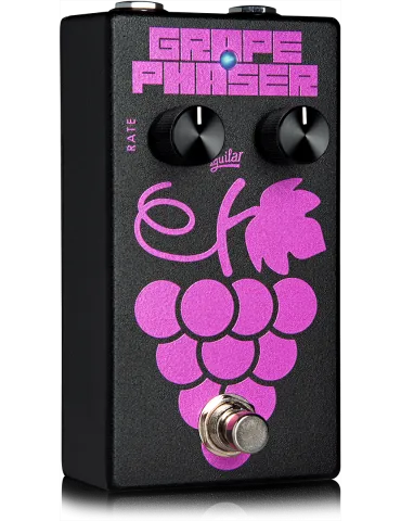 AGUILAR GRAPE-V2 | MusicGoodDeal 2