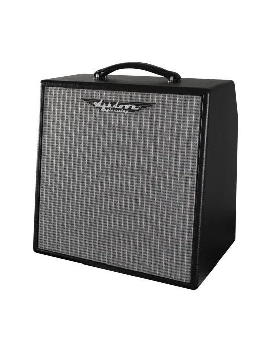 ASHDOWN UK-PM-2C | MusicGoodDeal