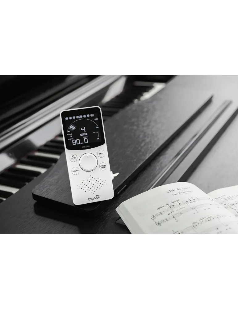 CHERUB WSM-210LI | MusicGoodDeal