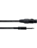 CORDIAL EM5FP | MusicGoodDeal