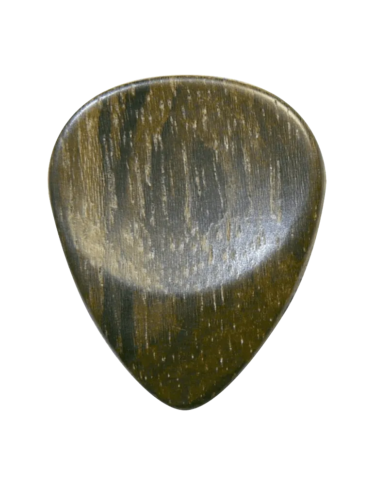 DUGAIN ZIRICOTE | MusicGoodDeal