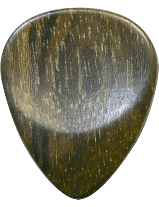 DUGAIN ZIRICOTE | MusicGoodDeal