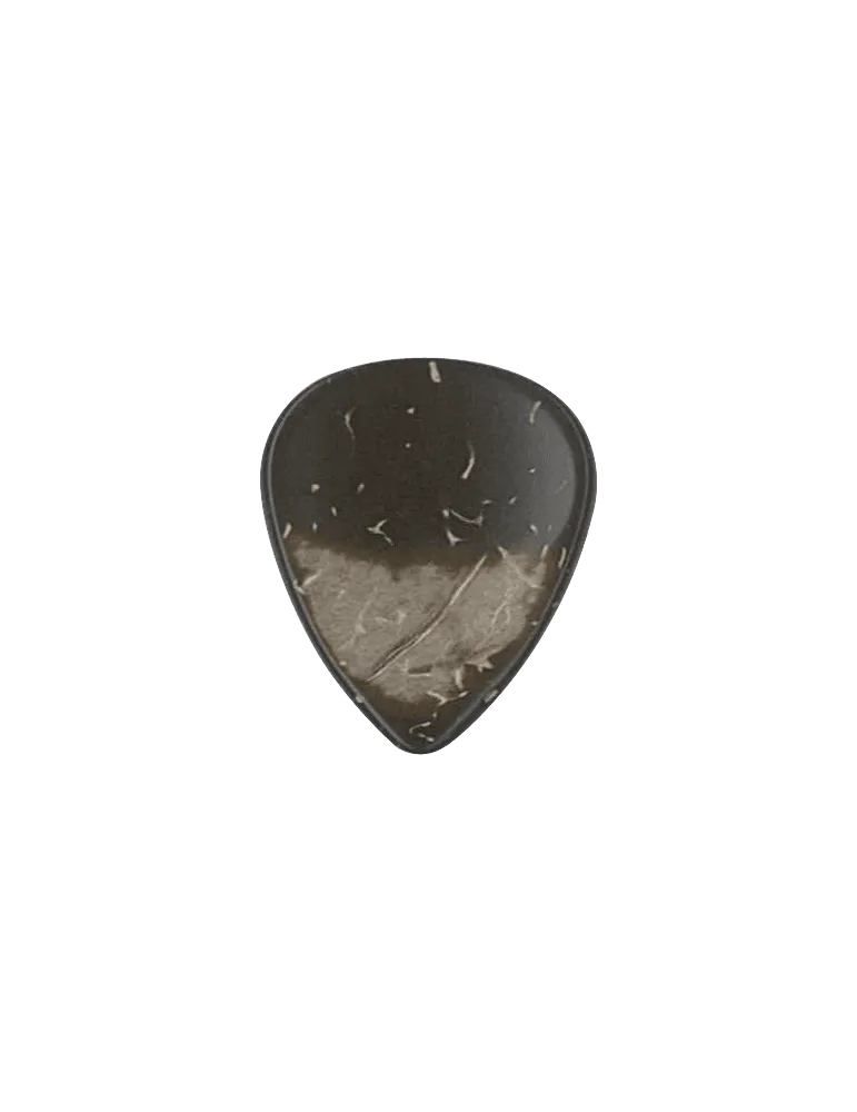 DUGAIN COCO | MusicGoodDeal