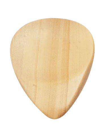 DUGAIN BUIS | MusicGoodDeal