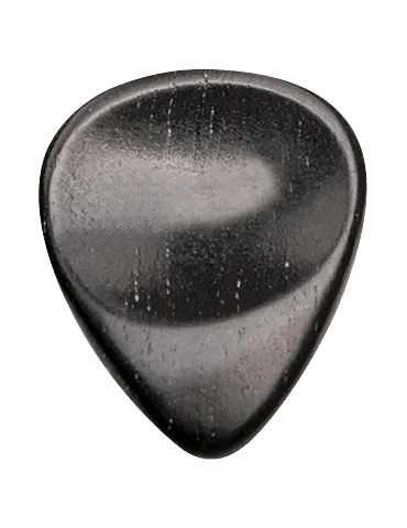 DUGAIN EBENE | MusicGoodDeal