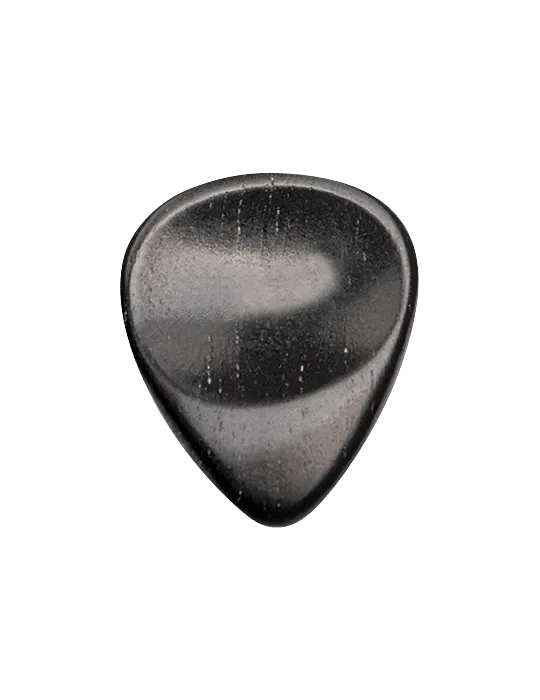 DUGAIN EBENE | MusicGoodDeal