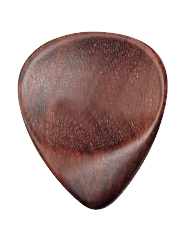DUGAIN PALIS | MusicGoodDeal