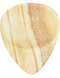 DUGAIN OLIVIER | MusicGoodDeal