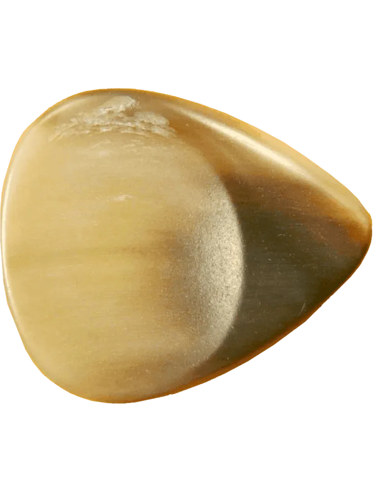 DUGAIN SUPERCORNE | MusicGoodDeal