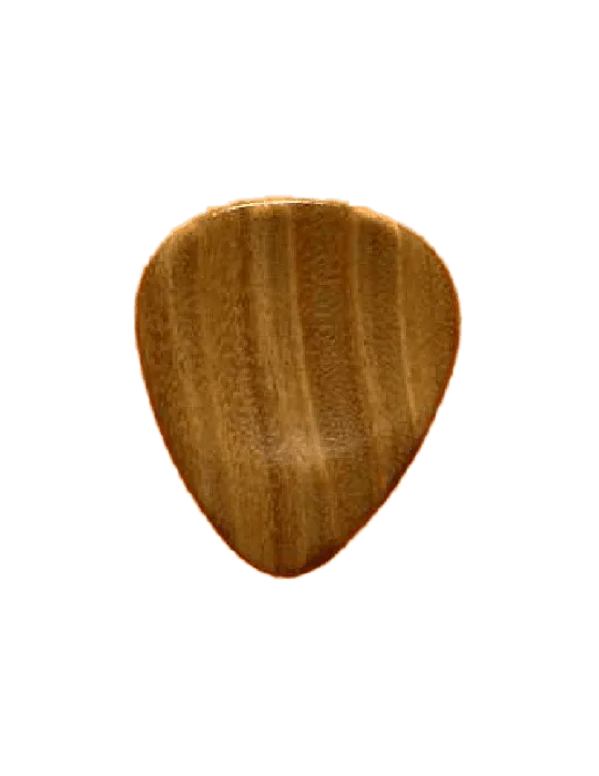 DUGAIN FLATBOIS | MusicGoodDeal